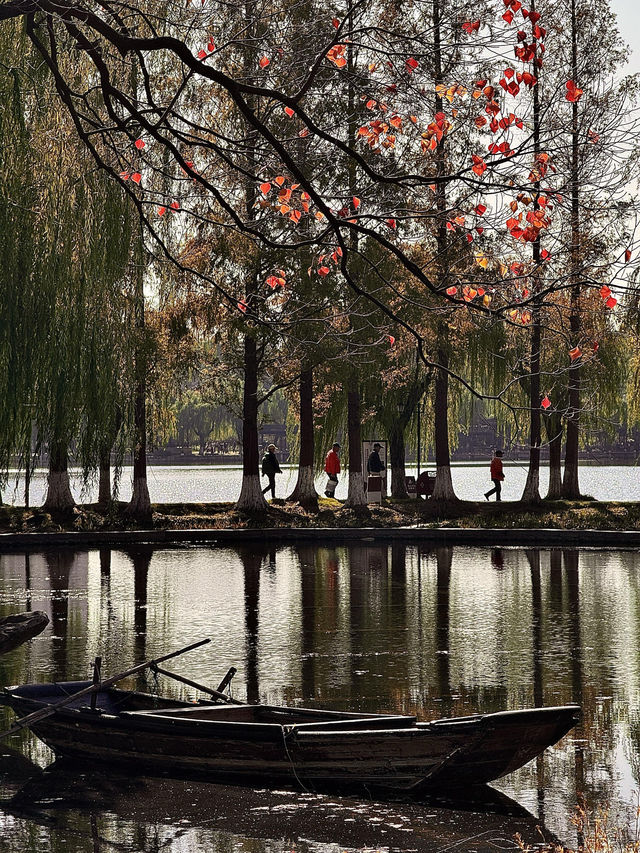 絕美莫愁湖打卡攻略