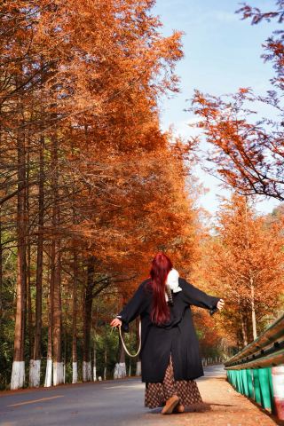 Around Xi'an | No one can resist staying deep in the Qinling Mountains...