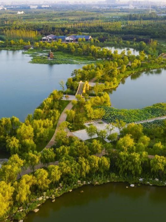 秋遊宿遷必看保姆級遊玩攻略來啦