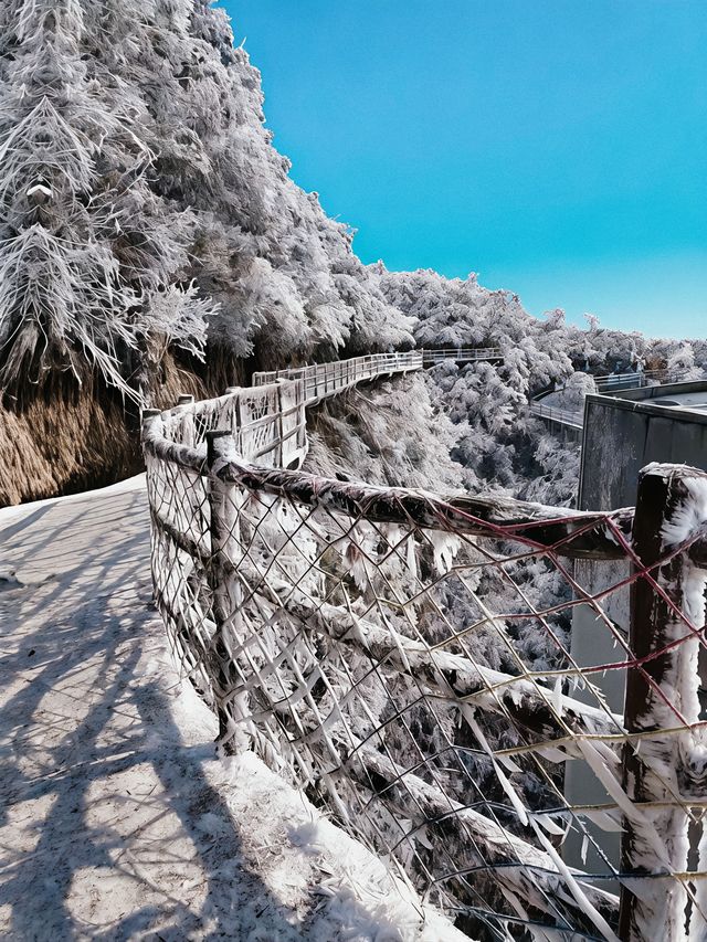 【莽山冬季仙境｜2天1夜霧淞溫泉全攻略！