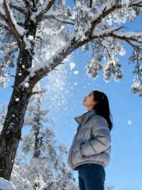 瓦屋山雪已就位！成都自駕3h直達的冰雪快樂，霧淞、冰瀑、滑雪全拿捏，新手閉眼衝的攻略整理好啦，趕緊碼