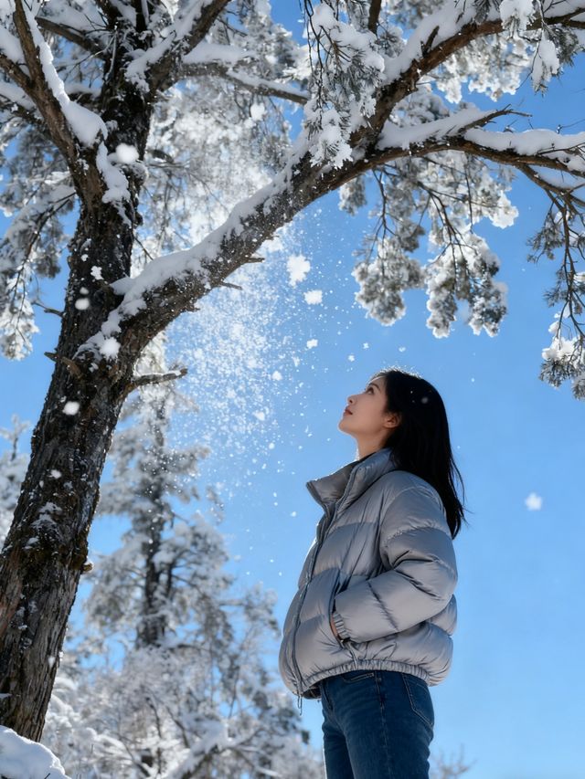 瓦屋山雪已就位！成都自駕3h直達的冰雪快樂，霧淞、冰瀑、滑雪全拿捏，新手閉眼衝的攻略整理好啦，趕緊碼