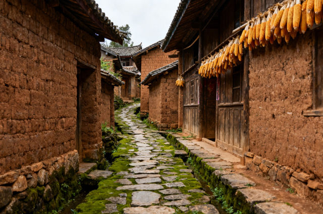 三天漫逛大姚：白塔映彝風，百草嶺藏野趣與核桃香