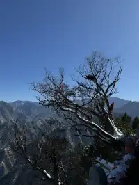 雪落終南｜南五臺初雪徒步攻略 美到窒息