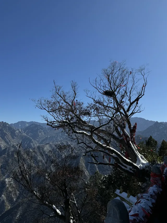 雪落終南｜南五臺初雪徒步攻略 美到窒息