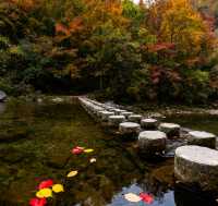 秋季徒步天花板｜黃陂屁屁溝，小眾秘境美到封神！