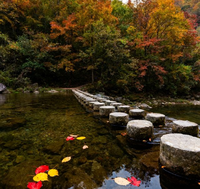 秋季徒步天花板｜黃陂屁屁溝，小眾秘境美到封神！