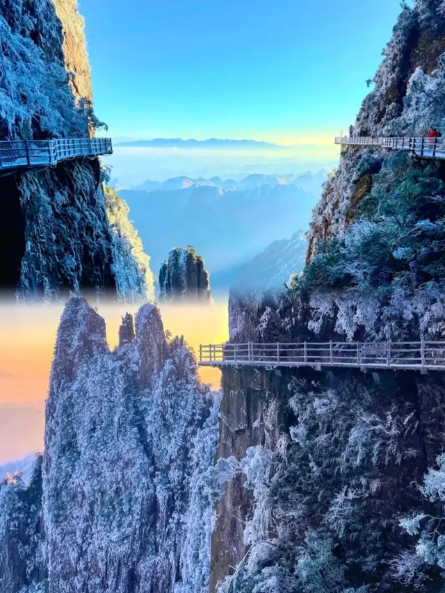 莽山的首場雪霧凇，承包南方人的限定浪漫