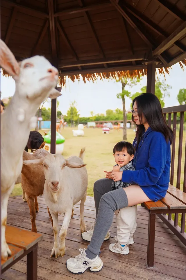 2h直達上海周邊遛娃聖地南通野生動物