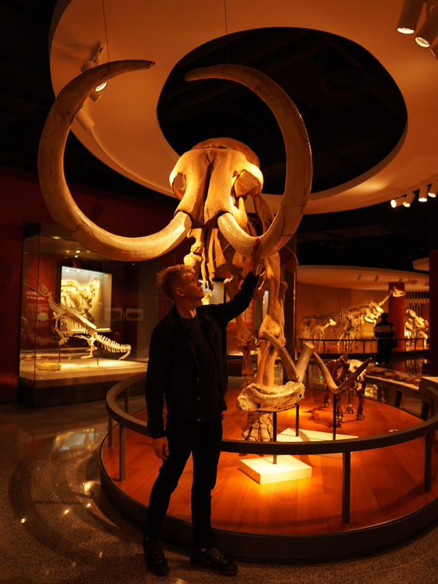 Самый красивый Шанхайский музей природы 🦖🇨🇳