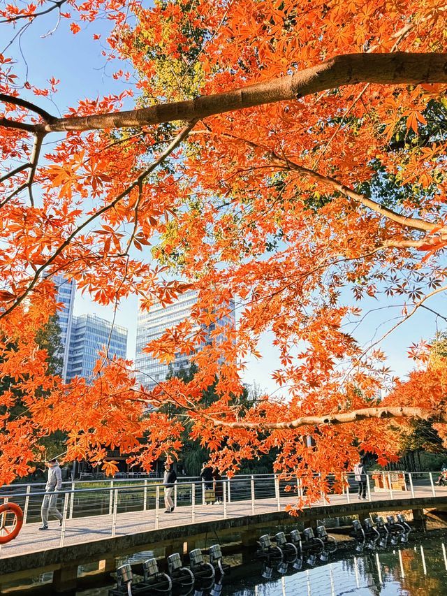 上海黃浦南園遊玩全攻略來了!!! 上海黃浦南園遊玩全攻略來了!!!