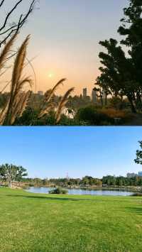 市區莫奈花園!人均40元玩轉四季花海