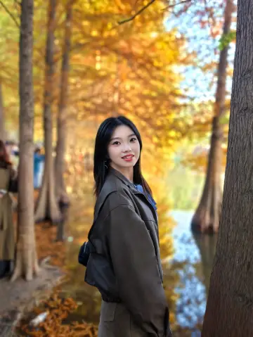 11.15實拍|明孝陵落羽杉已美成油畫!