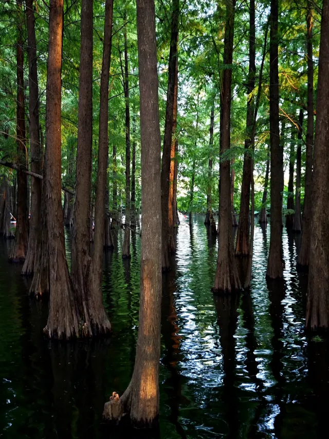 肇慶星湖靜待落日｜把夕陽揉進玻璃船裡