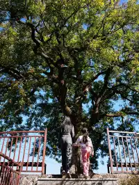 劍川桑嶺村|百年古木林美成了打翻的調色盤