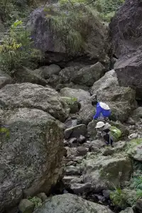 紹興柯橋雪竇嶺親子徒步