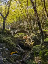 銅陵永泉小鎮二日遊
