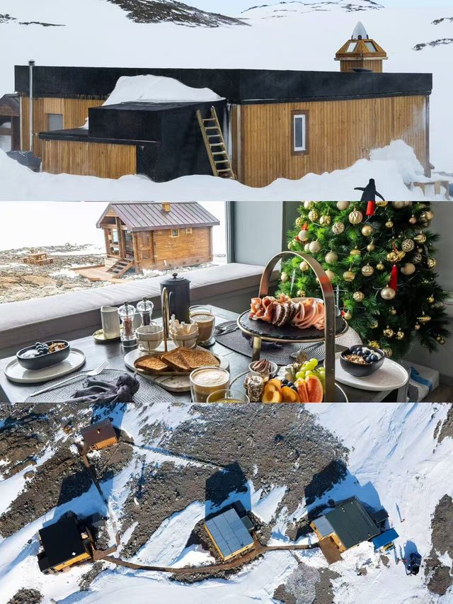 2026南極點中文團！超稀缺名額看帝企鵝