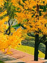 上海發布認證 已達巔峰值 相當炸裂