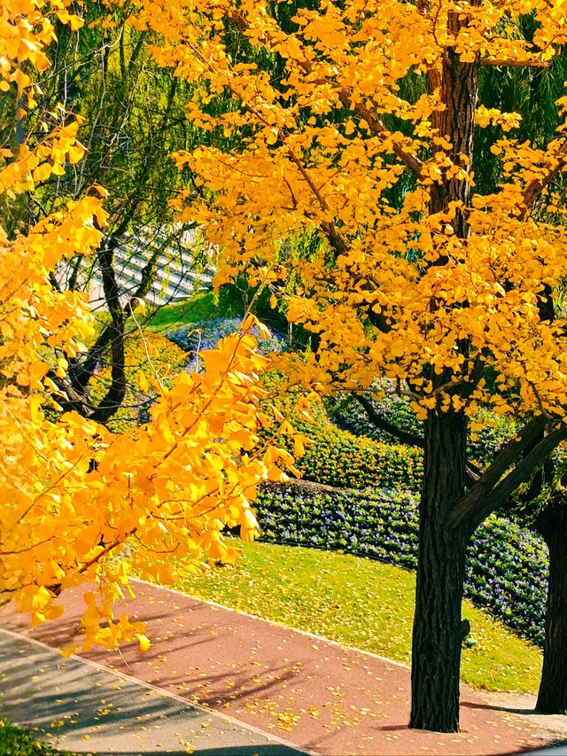 上海發布認證 已達巔峰值 相當炸裂