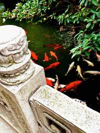 上海追秋 千年銀杏+元代古寺|真如寺打卡全攻略