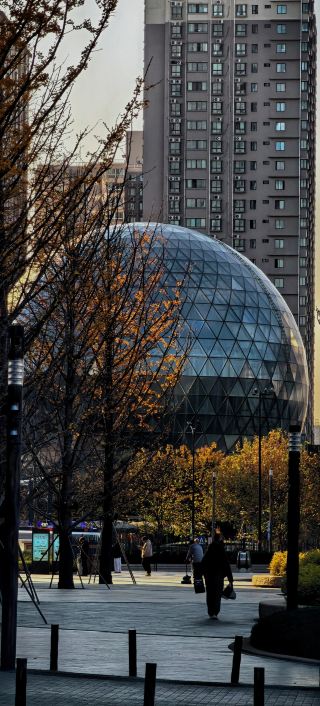 【A Soul-Stirring Miracle】The Tree of Life—A Deep Dialogue with Nature!