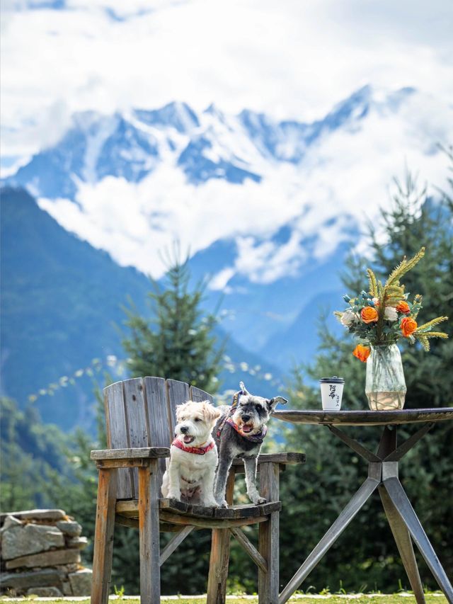 帶狗子去川西「小瑞士」阿布的若丁山|誰說川西只有稻城