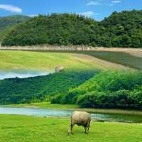 江浙滬露營天花板!安吉小杭坑太治癒了