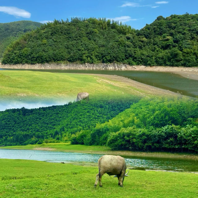 江浙滬露營天花板!安吉小杭坑太治癒了 江浙滬露營天花板!安吉小杭坑太治癒了