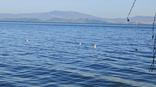 昆明小眾觀鷗地|磊樓的滇池治癒時刻 昆明小眾觀鷗地|磊樓的滇池治癒時刻