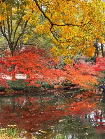 12.02實況live杭州！！太子灣！！殺瘋了.....