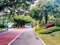 Hanoi’s Urban Oases: A Guide to the Best City Parks