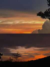 廬山杉與山青民宿｜住進雲端的森系治癒屋