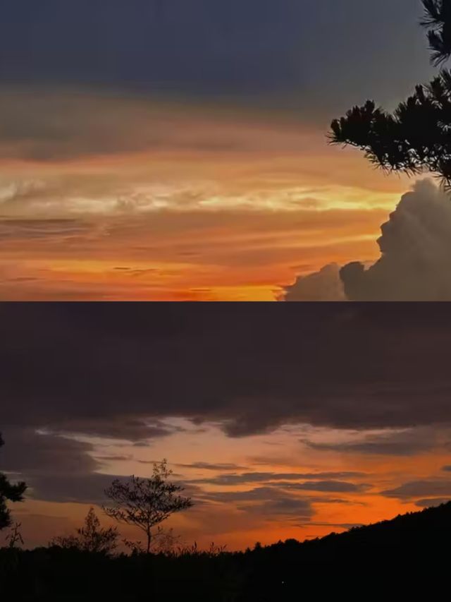 廬山杉與山青民宿｜住進雲端的森系治癒屋