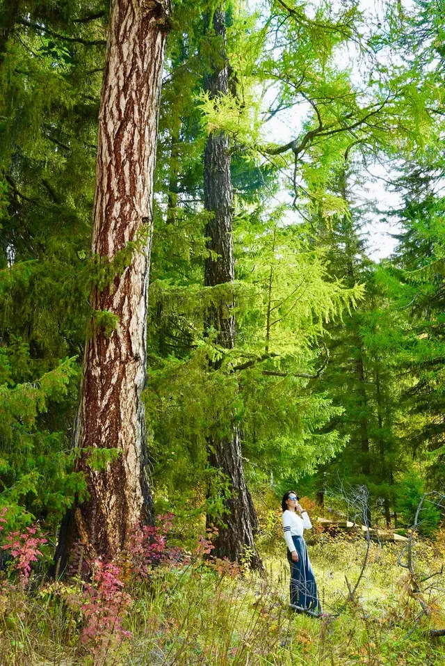 喀納斯湖 Kanas lake 天堂遺忘的地方 喀納斯湖 Kanas lake 天堂遺忘的地方