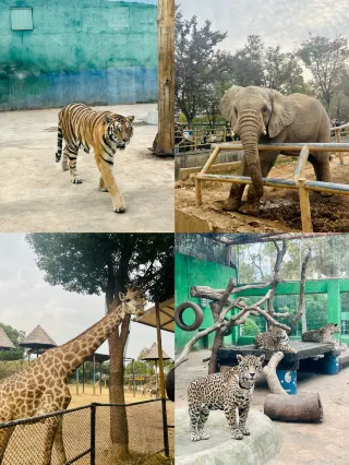 躺玩不趕路！龍之夢兩天一晚親子遊攻略來了