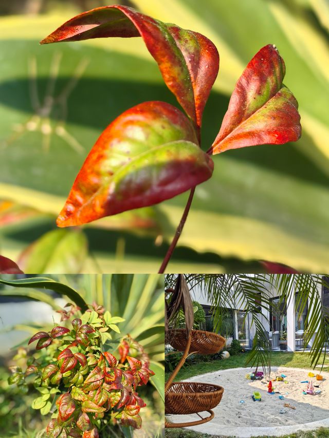 遇山鄉舍｜把「山野茶話會」搬進庭院，連閒聊都裹著溫柔