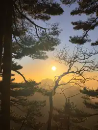 11.28登黃山後復盤