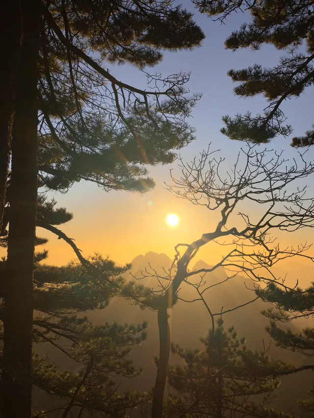 11.28登黃山後復盤 11.28登黃山後復盤