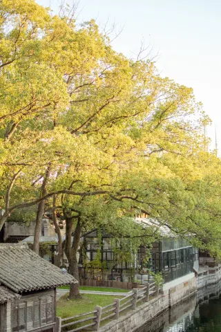 Puyuan Ancient Town | A New Jiangnan Paradise with Few People and Beautiful Scenery