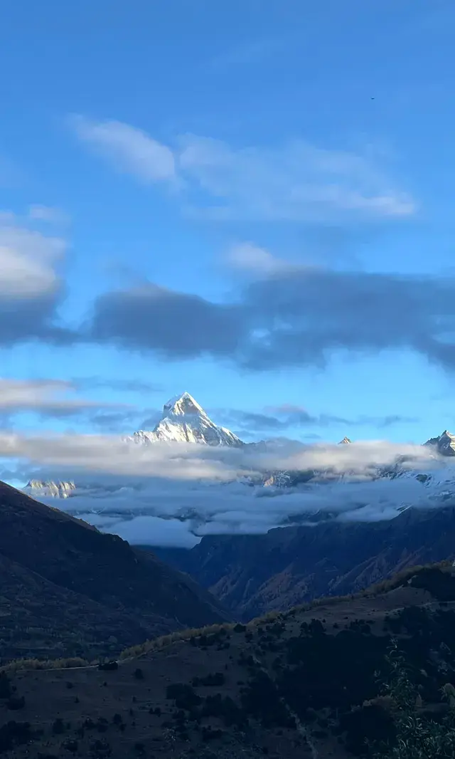 川西｜真的好幸運 拍到日照金山了！還有彩林