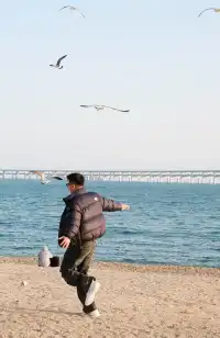 南寧-大連3天2夜浪漫出片攻略！！！