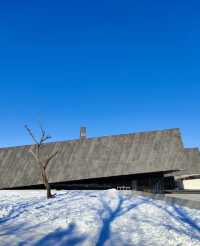 瀋陽+哈爾濱+漠河5日遊:穿越冰雪奇緣,探索東北文化