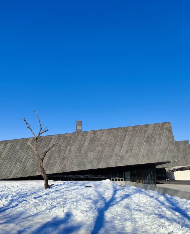 瀋陽+哈爾濱+漠河5日遊:穿越冰雪奇緣,探索東北文化 瀋陽+哈爾濱+漠河5日遊:穿越冰雪奇緣,探索東北文化