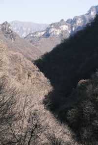 攀越絕壁 · 洞見神鷹 | 九里溝秘徑探幽指南