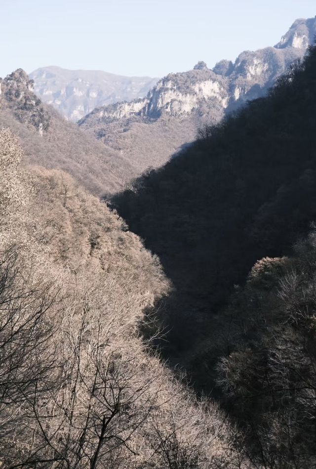 攀越絕壁 · 洞見神鷹 | 九里溝秘徑探幽指南 攀越絕壁 · 洞見神鷹 | 九里溝秘徑探幽指南