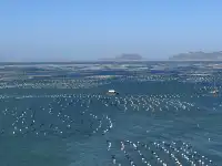 嵊泗列島之枸杞島