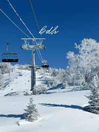 Skiing at Beidahu: Snow, Views, and Serious Vibes ❄️🎿