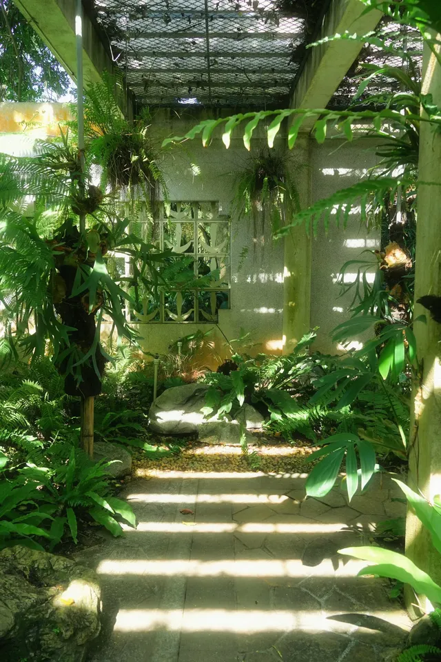 廈門植物園 | 像植物一樣呼吸