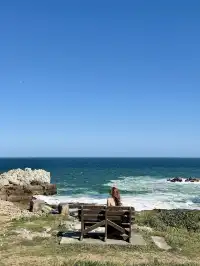 南非｜赫曼努斯-世界最佳陸地觀鯨地